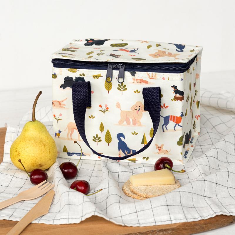 צידנית  - Dog Park