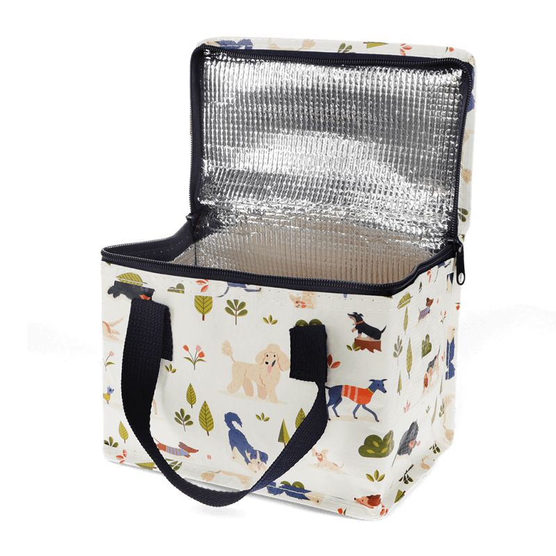 צידנית  - Dog Park