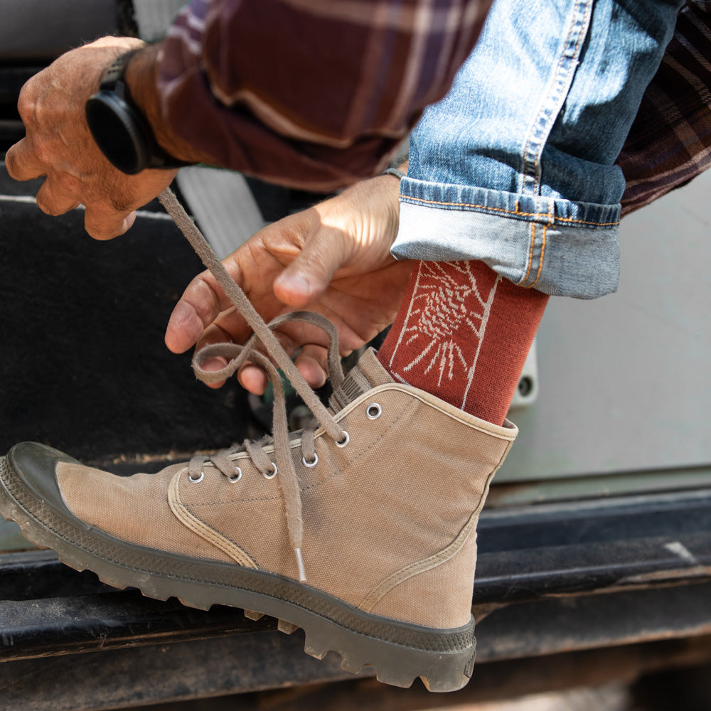 גרבי כותנה לגברים - אצטרובל - טרקוטה