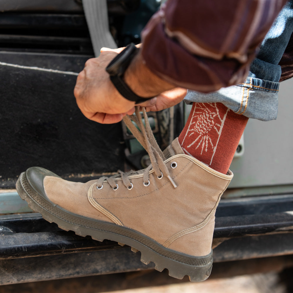 גרבי כותנה לגברים - אצטרובל - טרקוטה