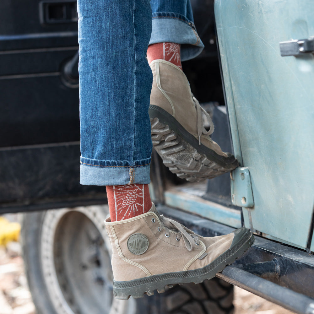 גרבי כותנה לגברים - אצטרובל - טרקוטה