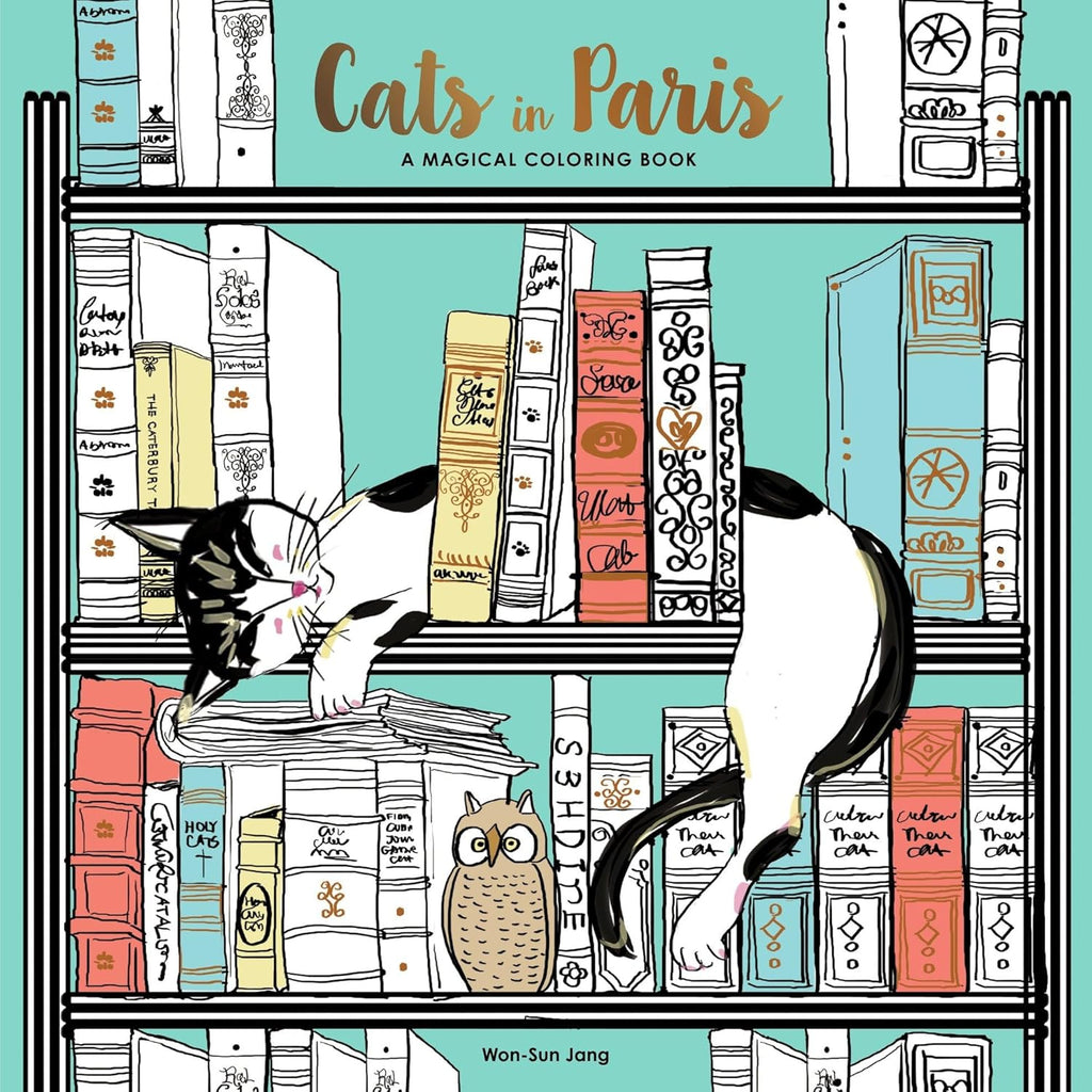Cats in Paris: A Magical Coloring Book