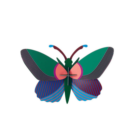 יצירה בנייר:  Acacia Butterfly M