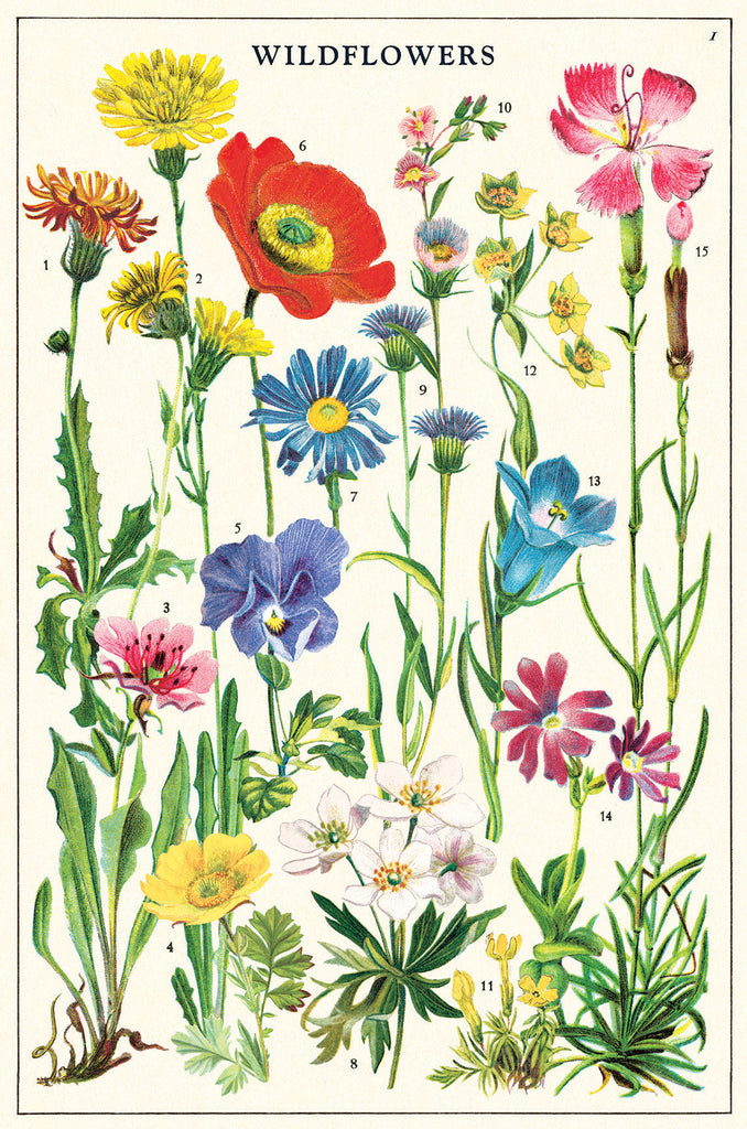 מארז גלויות בקופסת פח : Wildflowers 2