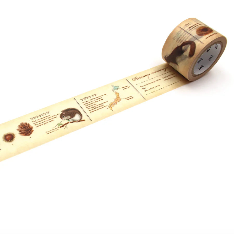 וואשי טייפ רחב: Animals