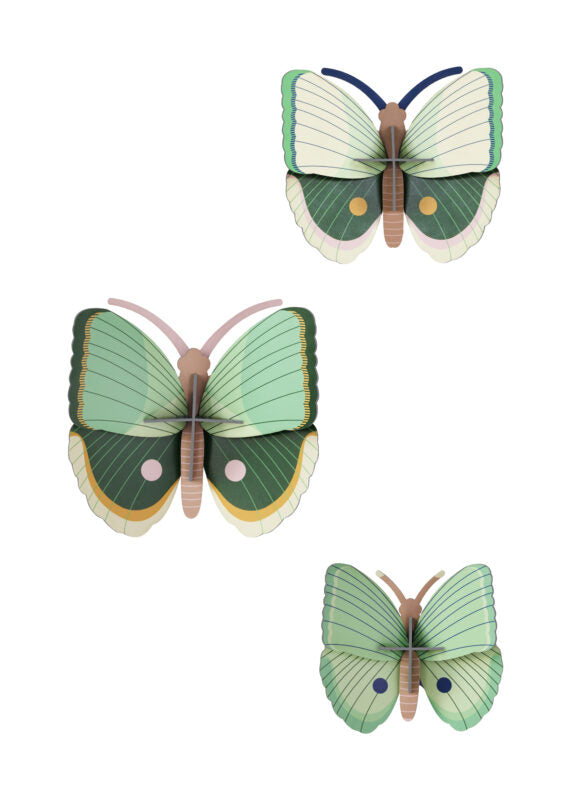 יצירה בנייר:  Gold Rim Butterflie סט