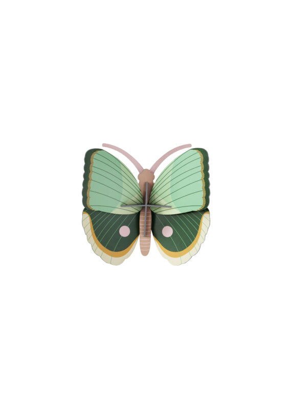 יצירה בנייר:  Gold Rim Butterflie סט