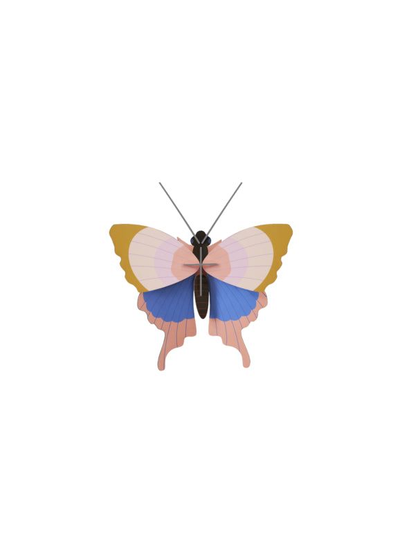 יצירה בנייר: Gold Rim Butterfly