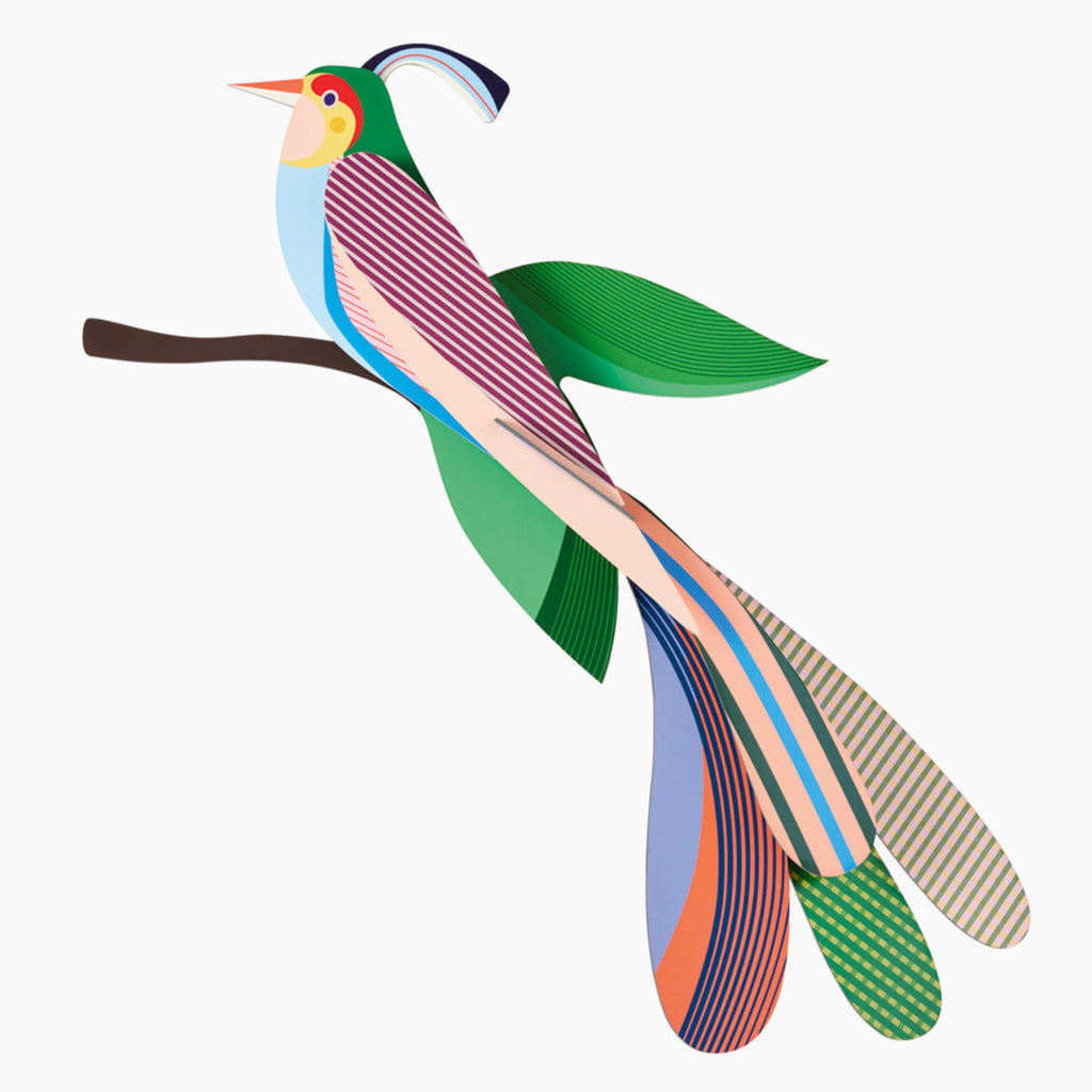 יצירה בנייר: Paradise Bird Maya