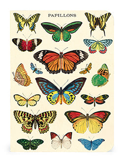 3 מחברות מיני : Butterflies