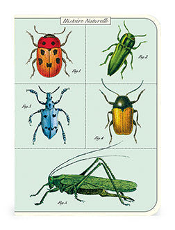 3 מחברות מיני : Bugs & insects