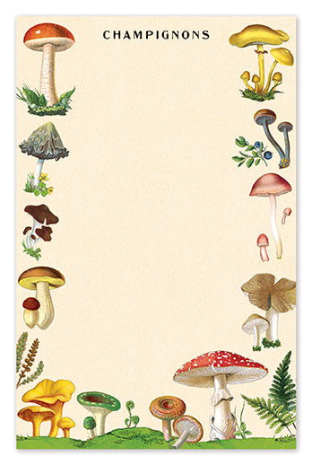 נוטפד : Mushrooms