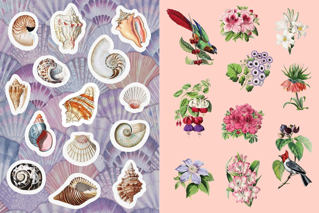 ספר מדבקות, צביעה ופעילויות – Antiquities