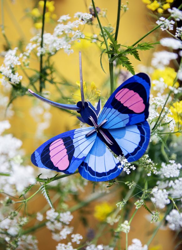 יצירה בנייר: peacock butterfly