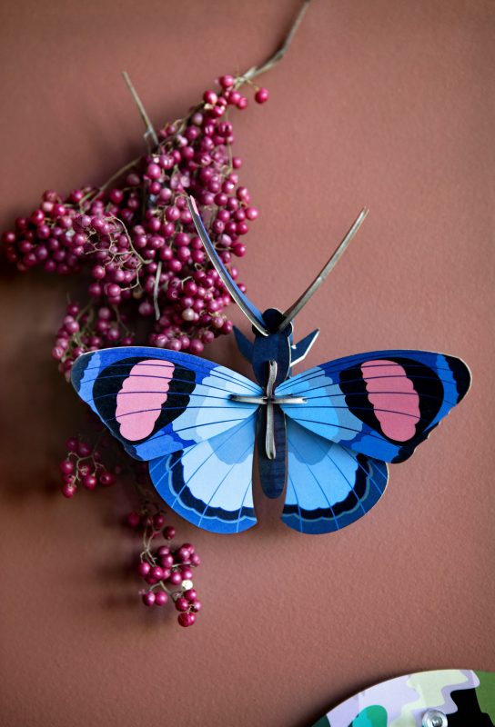 יצירה בנייר: peacock butterfly