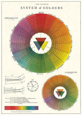 פוסטר :Color Wheel