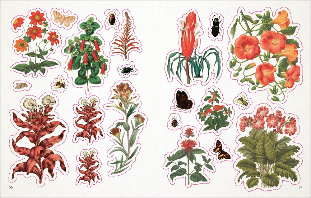 -  ספר מדבקות  The Botanist's Sticker Anthology