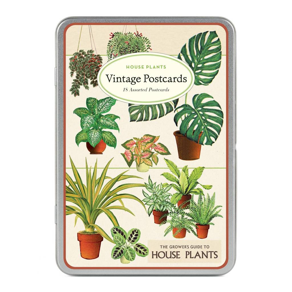 מארז גלויות בקופסת פח: HOUSE PLANTS
