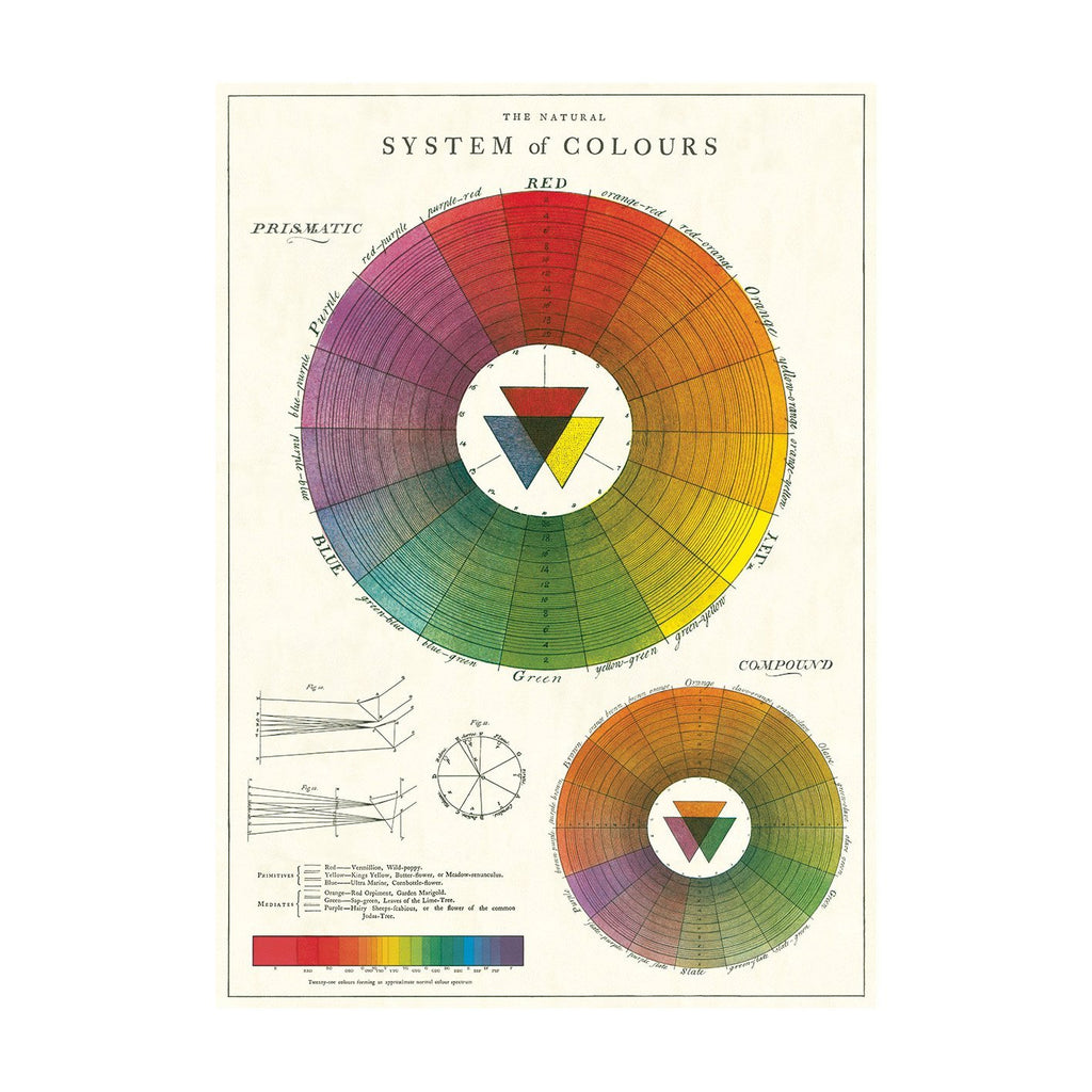 פוסטר :Color Wheel